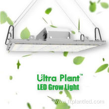 PATENTED UNIFORMTITY TECHNOLOGY GROW LIGHTS